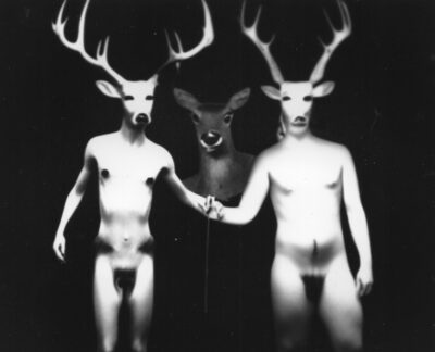 Alates 6. juunist <br><b>ÖÖMUUSEUM: galeriis SEEK Alyona Movko-Mägi isikunäitus „Soo“</b>